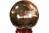 Colorful Petrified Wood Sphere - Madagascar #106988-1